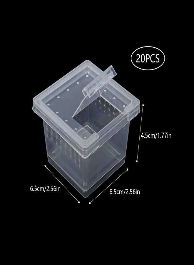 Klmnop 20 Pcs Spider Terrariums Breeding Box, Small Hatching Container for Reptile, Clear Spider Cage with Lid(Clear) - Image 2